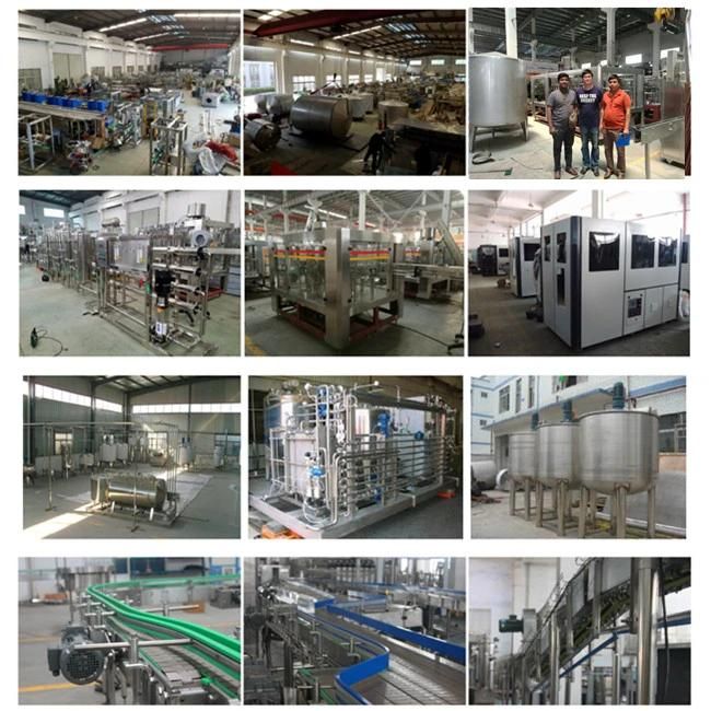 Automatic Plastic/Pet Bottle Blow/Blowing/Making Molding Machine