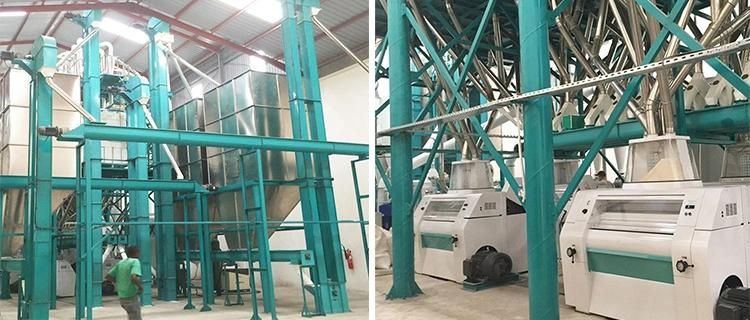 PLC Control 240t/24h Corn Grits Mill Maize Milling Machine Prices