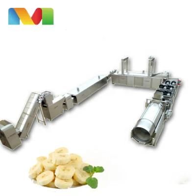 Mango/Banana Seasoning Mixer Machine for Snacks Process Line