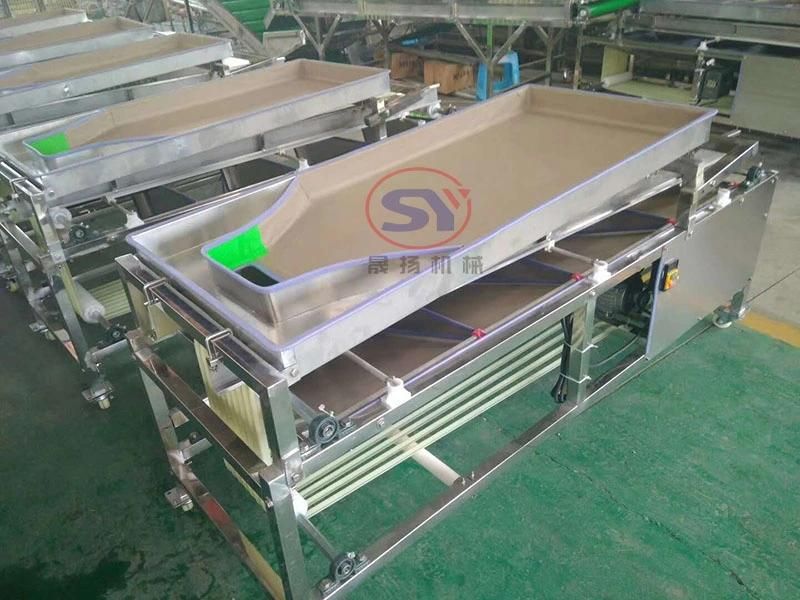 4 Grades Date Palm Size Grading Sorting Machine