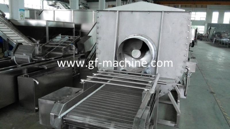 500kg/H High Efficiency Spiral Blancher for Food Processing Machine Price