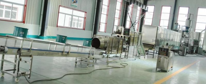 Industrial Pet Food Floating Fish Feed Machine Production Line