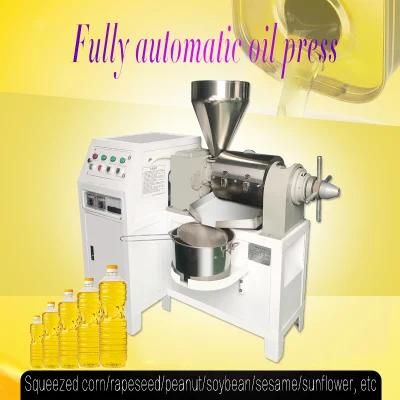 Z200 Pure Physical Press Type Oil Press Screw Oil Press Machinery