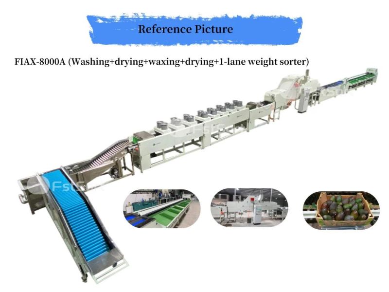 Citrus Apple Mango Nectarine Orange Avocado Fruit Washing Drying Waxing Sorting Processing Machine