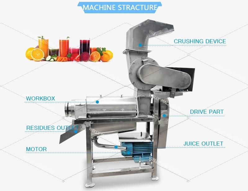 Low Energy Consumption Orange Pomegranate Lemon Juicer Extractor Machine