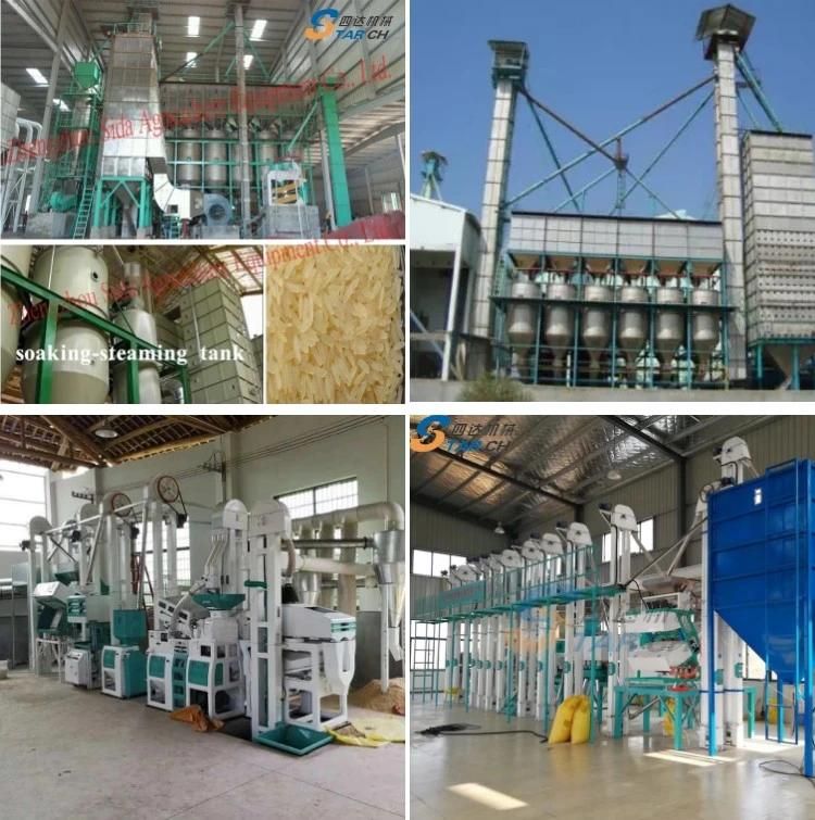 Industrial 10t/d Parboiled Rice Mill Parboiling Dryer Boiler Price