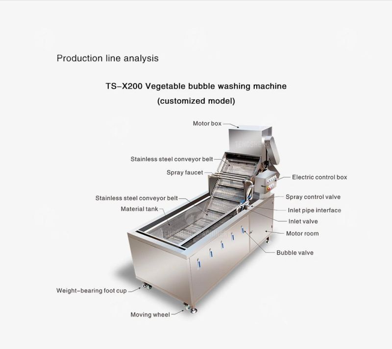 Multifunctional Food Processing Machine Fruit Vegetable Washing Washer Carob Tomato Cleaner Bubble Cleaning Vibration Drying Production Line Food Processor