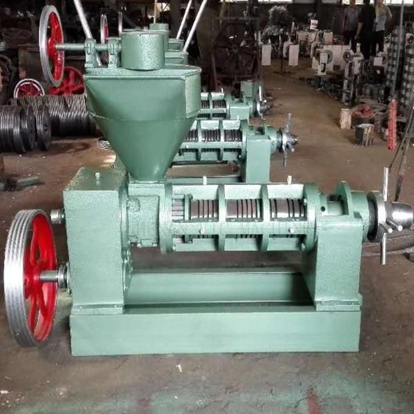 6YL-95 Oil Press 200kg/h Screw Oil Press