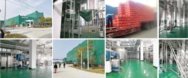 Ws Full Automatic Soy Milk Production Line Soy Milk Processing Plant