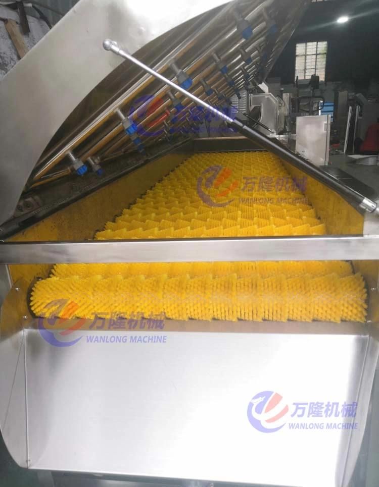 Cumquat Kumquat Washing and Drying Machines Processing Line