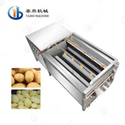 SUS 304 Carrots/Cassavas/Potatoes Washing and Peeling Machine