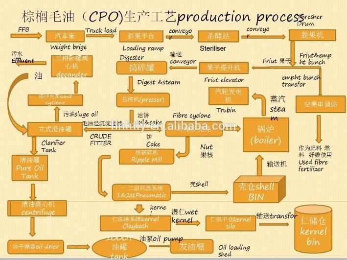 China Palm Fruit Palm Kernel Oil Pressing Extraction Processing Mill Plant Machine