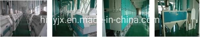 Stone Mill Traditional Simulation Wheat Flour Mill Line