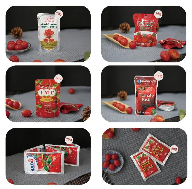 Hot Selling Gino Tomato Paste Factory in China