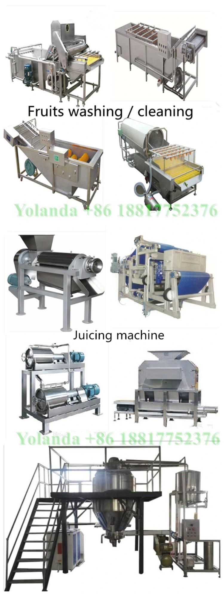 Hot Sale Arabic Dates Paste Production Line