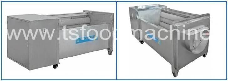 Maize Corn Washing Machine and Radish Washer Machine