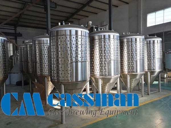 Cassman 500L Micro Brewing Equipment Beer Brewery Equipment Brewing Fermentation Tanks