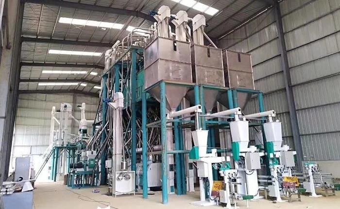 Maize Wheat Corn Flour Meal Grits Grinder Grinding Milling Mill Machine Machinery