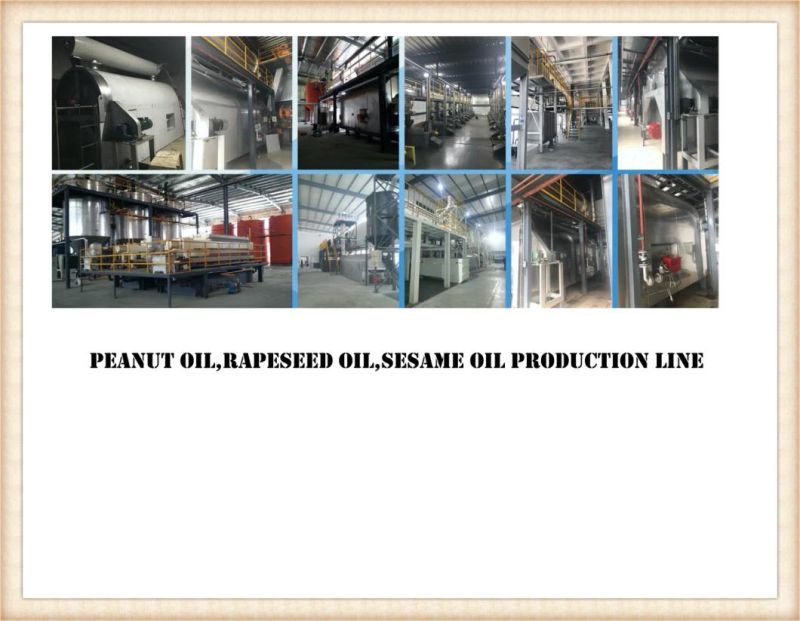 Edible Oil Refining /Refinery/Press/Processing/Making/Extraction Machine