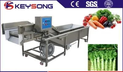 Leafy Vegetable High Pressure Bubble Washing Machine