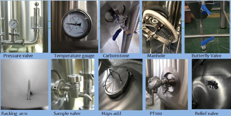 Cassman 60bbl Stainless Steel Conical Fermentation Tank for Beer Brewery