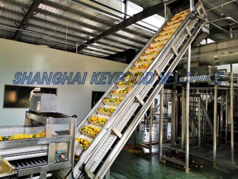 Fully-Automatic Concentrated Fruit Juice Production Plant