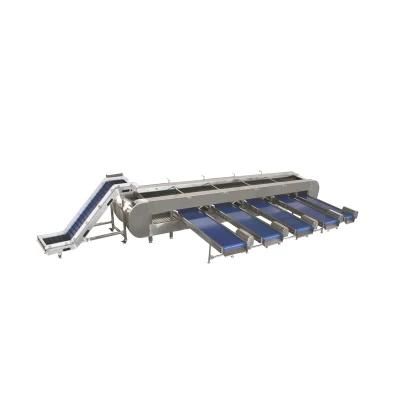 Potato Sorting Machine Fruit and Vegetable Grading Machine