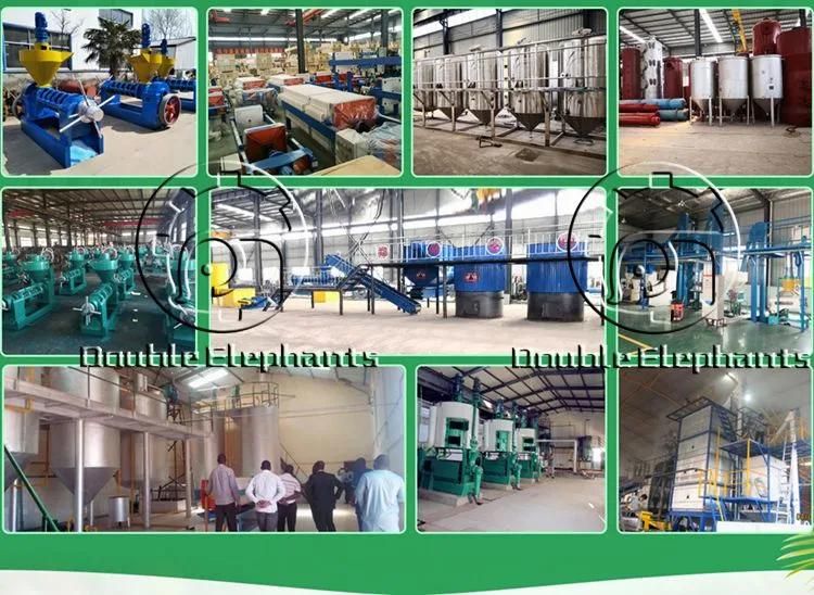 1-5t/H Small Scale Africa Palm Oil Extractor Machine, Palm Oil Processing Machine, Palm Oil Mill Press Machine