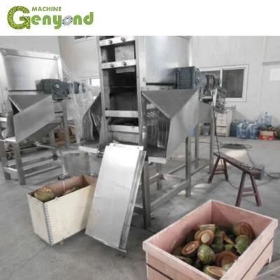 1000PCS/H Tender Coconut Half Cutting Machine