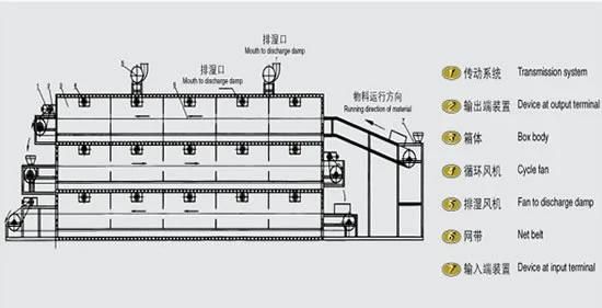 Small Capacity Complete Mango Drying Machines