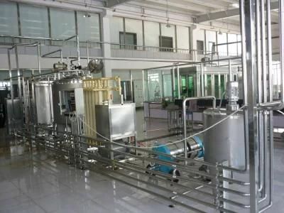 Customized Candied Fruit Processing Machine