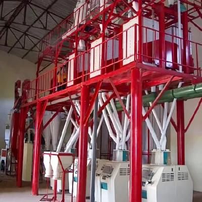 50t Maize Flour Mill Milling Plant for Corn Grits Processing