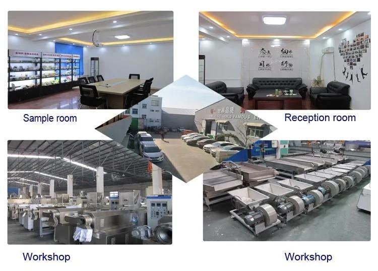 China Factory Supply Dry Extruded Dog Pet Food Production Line