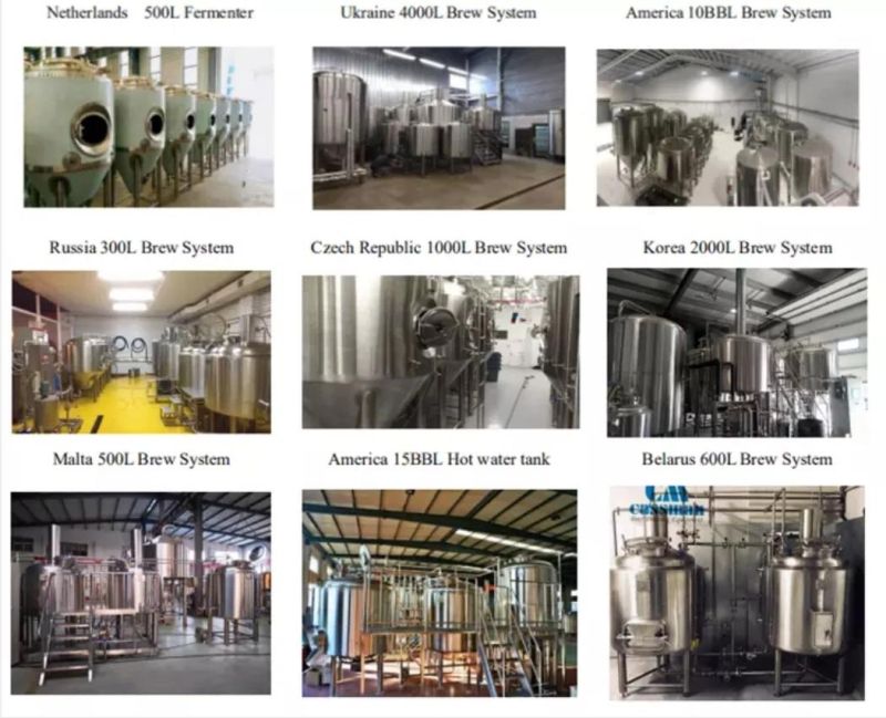 Cassman Turnkey Factory 1000L Beer Brewery Manufacturing Equipment for Beer Brewing