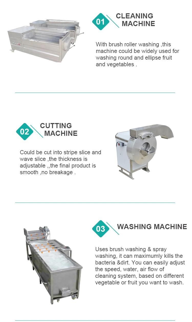 Food Machinery Vegetable Fruit Washing Cutting Blanching Drying Machine