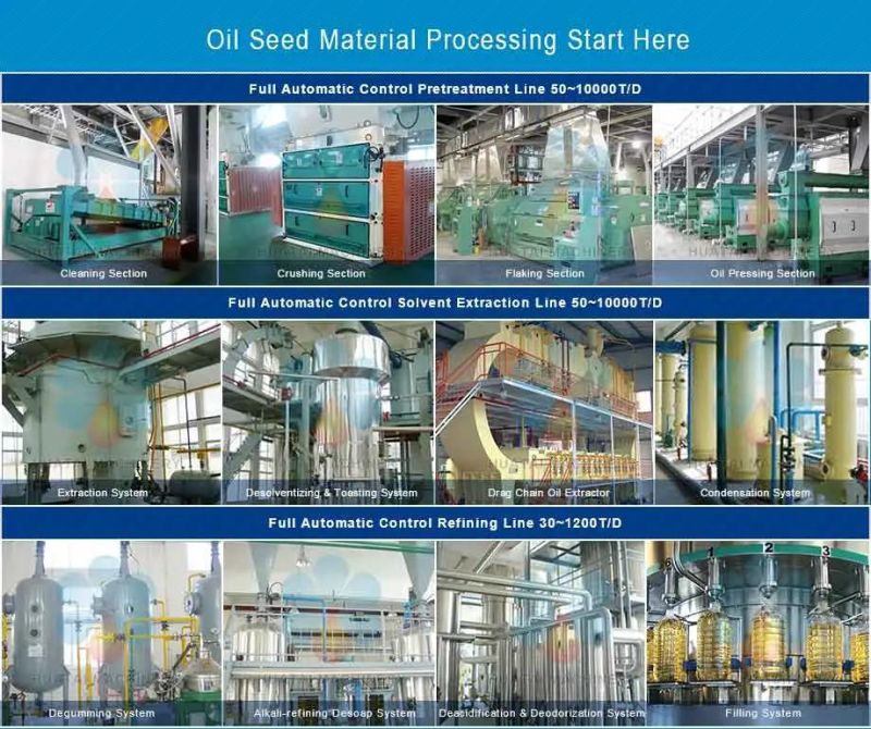 Sunflower Oil Press Line Refinery Line