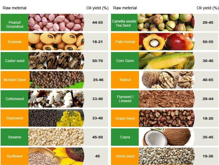 Peanut Combined Oil Press with Purifiers