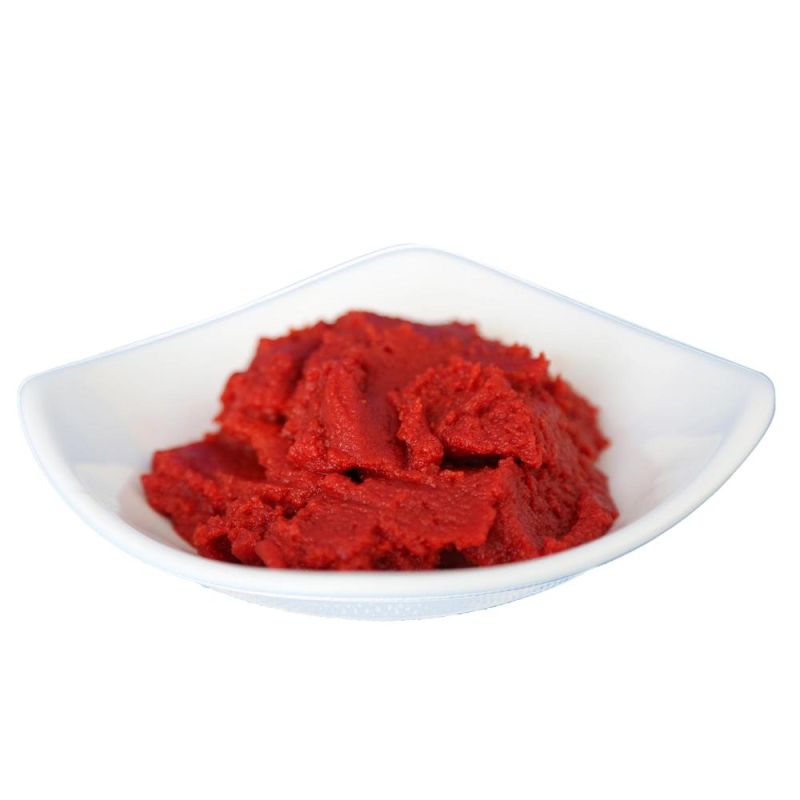 Hot Selling Gino Tomato Paste Factory in China