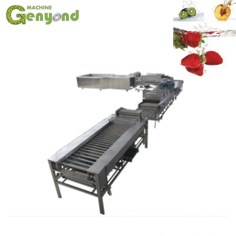 Apple Washing Waxing Sorting Machine Line