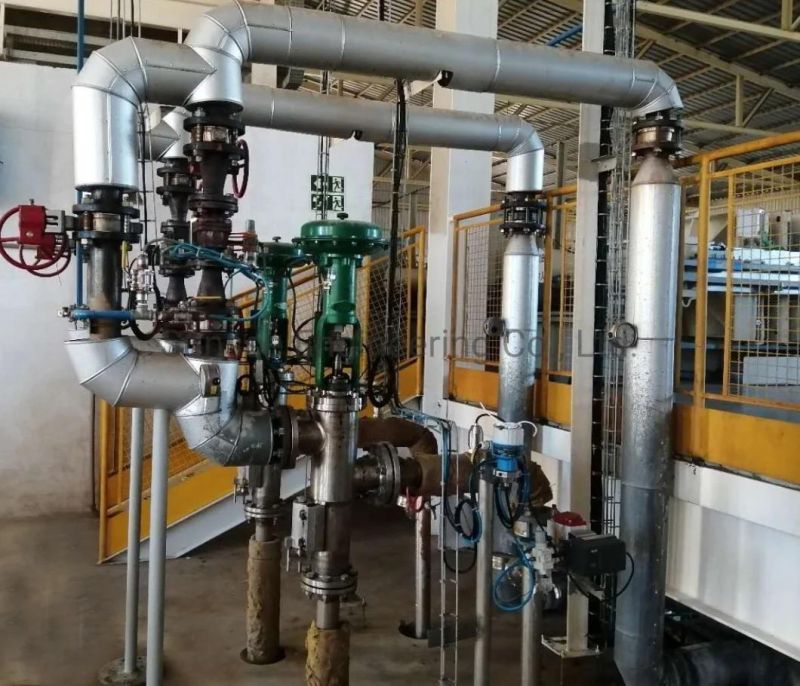 Corn/Maize Monohydrate Anhydrous Food Grade Citric Acid Plant Production Line