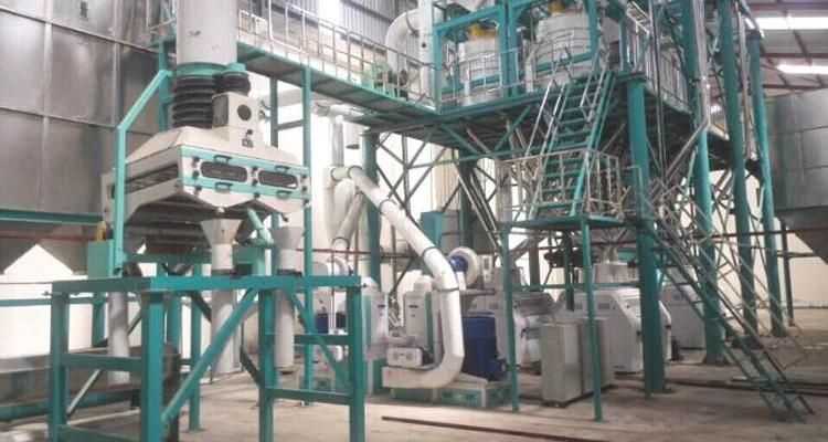 Large Scale Maize Mill Turnkey Flour Mill Machinery Price