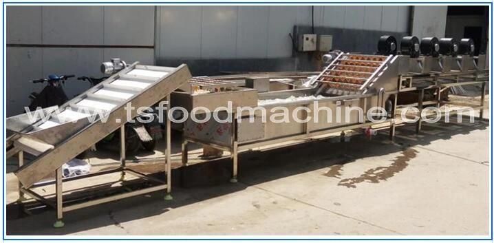 Vacuum Bag Package Food Drying Machine and Drying Dehydrator Machine