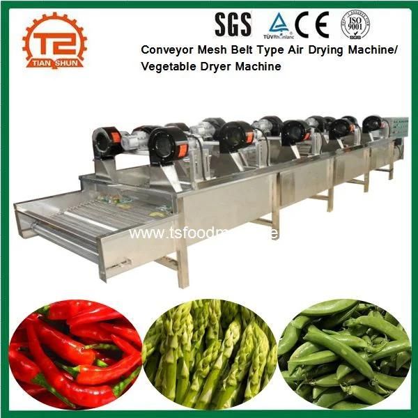 Conveyor Mesh Belt Type Air Drying Machine / Vegetable Dryer Machine