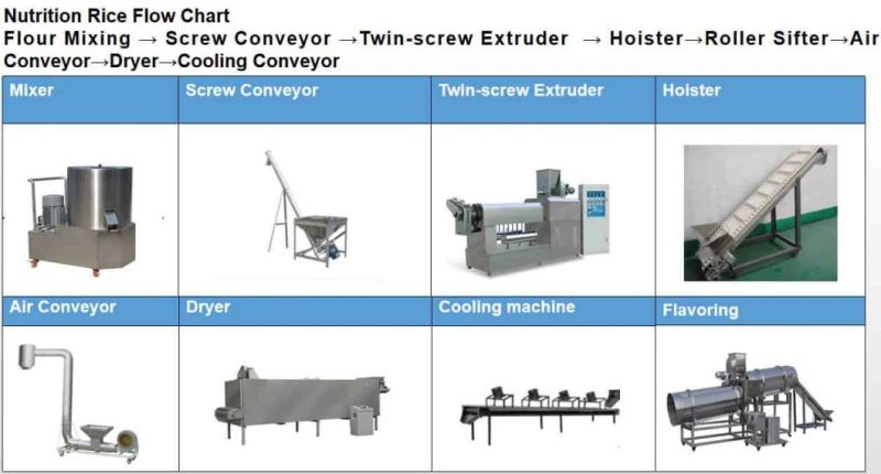 Top Quality Nutrition Rice Snack Food Production Machine with Certificate