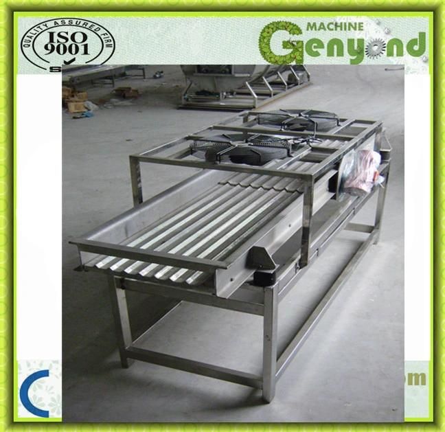 Fruit and Vegetable Rectangular Vibration Dewatering Machine