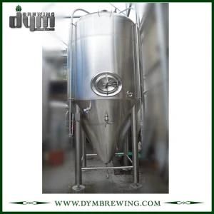 High Efficiency Stainless Steel 40bbl Wine Fermenting Tanks (EV 40BBL, TV 52BBL) for Sale