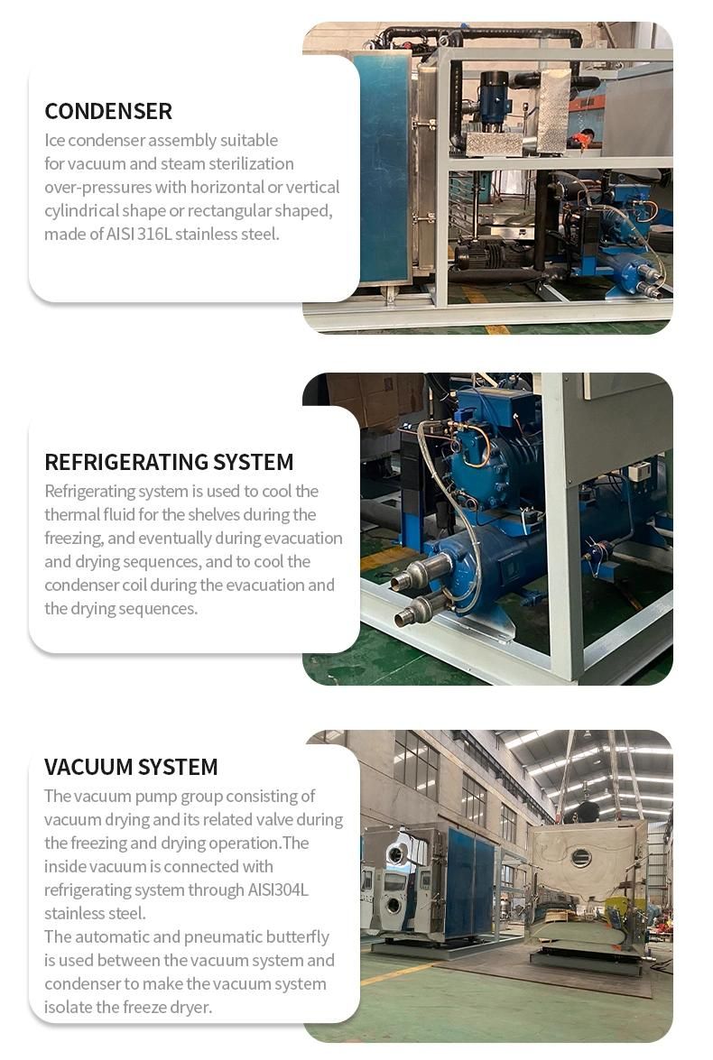 Industrial Food Freeze-Drying Equipment Fruit Vacuum Freeze Dryer Household Vegetable Freeze Dryer