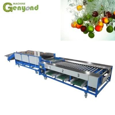 Industrial Citrus Fruit Waxing Machine