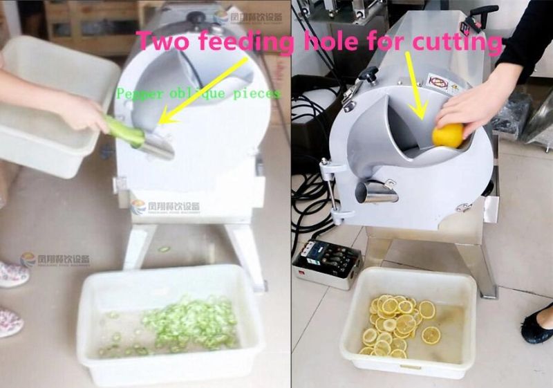 FC-312 Multifunction Vegetable Cutter Chinese Huaishan Slicing Machine