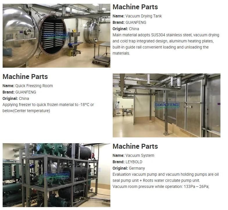 100m2 Industrial Vacuum Freeze Dryer Freeze Dried Pasta Machine